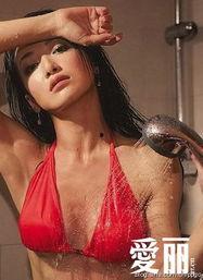 陈紫函娱乐绯闻,揭秘明星背后的情感纠葛